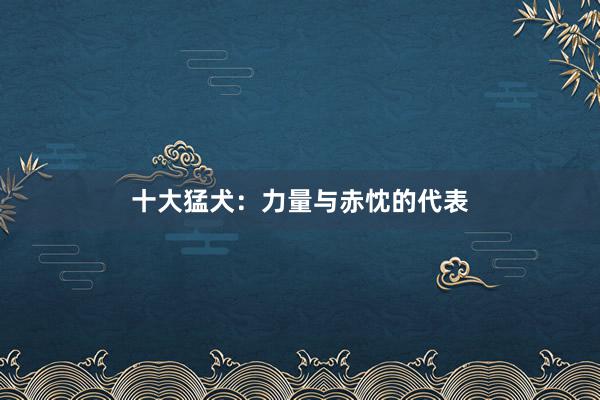 十大猛犬：力量与赤忱的代表