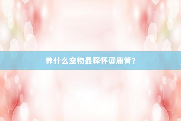 养什么宠物最释怀毋庸管？