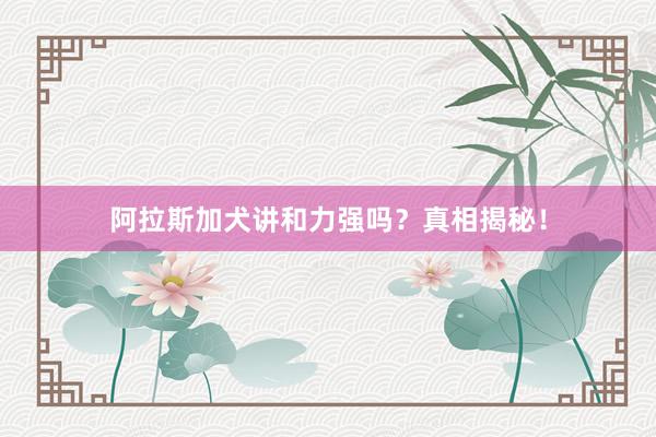 阿拉斯加犬讲和力强吗？真相揭秘！